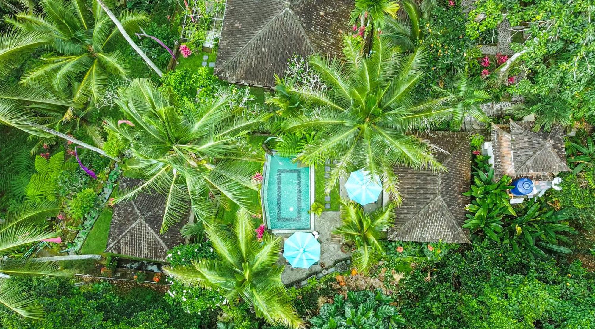 The Mahogany Villa Ubud Tegallalang  Exterior foto